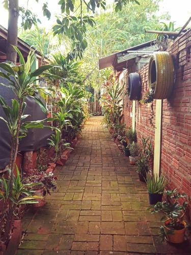 Hostel Sin Fronteras