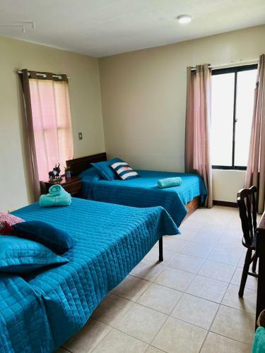 The Garden Apartment