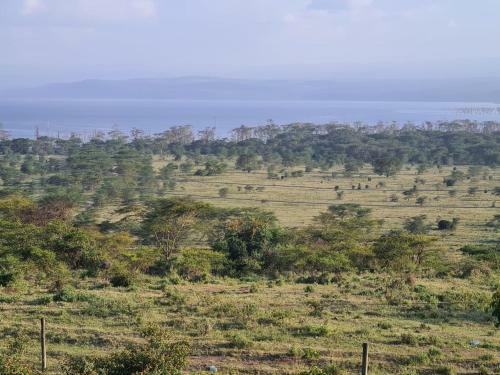 Qwetu Apartments Nakuru Naka