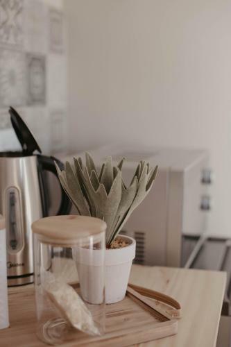 Apartamento Rose Hill Guesthouse