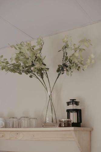 Apartamento Rose Hill Guesthouse