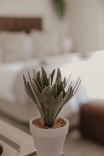 Apartamento Rose Hill Guesthouse