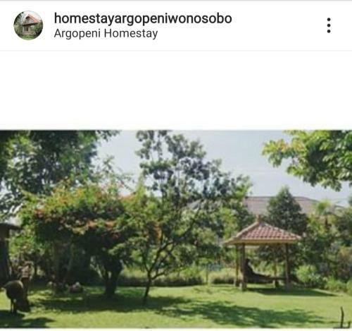 Homestay Argopeni