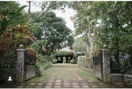Homestay Argopeni
