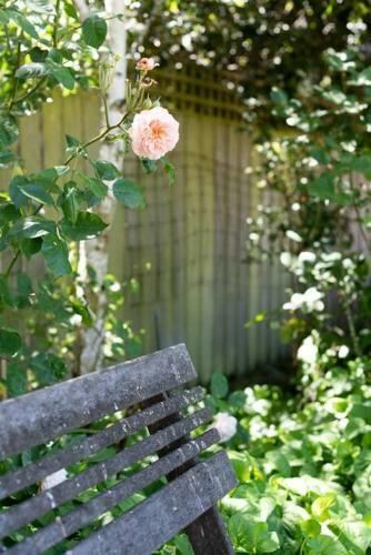 Apartamento Cute As A Button In Charming Evandale