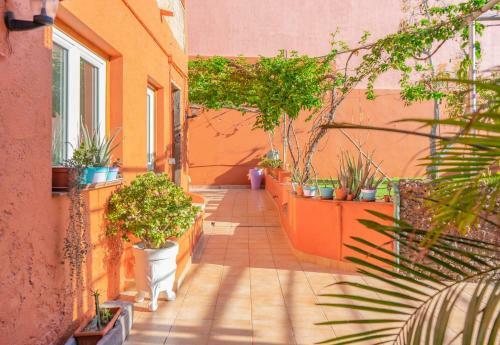 Bed & Breakfast Cactus Coliving & Coworking