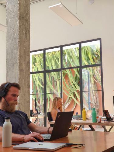 Bed & Breakfast Cactus Coliving & Coworking