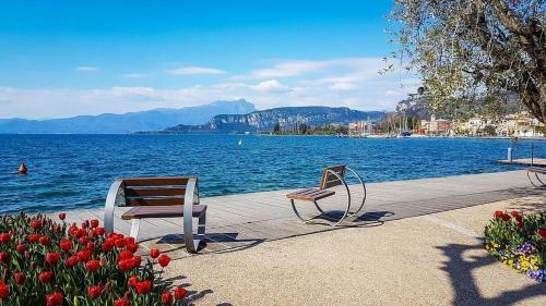 Apartamento Montefelice Trilocale 4