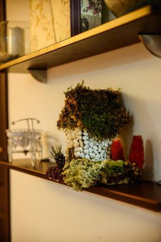 Hostal Pensiunea Fish Valley