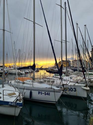 Apartmaji Mila Piran