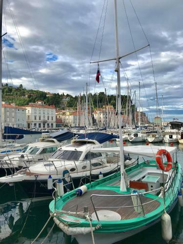 Apartmaji Mila Piran