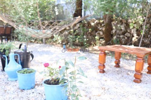 Villa Tiny House 2