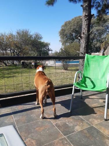 Club De Campo Apart