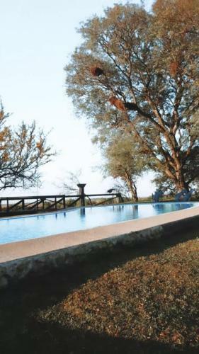 Club De Campo Apart