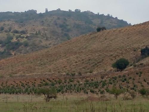 Bed & Breakfast El Refugio