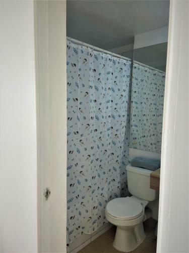 Apartamento Departamento Santiago Centro Con Estacionamiento