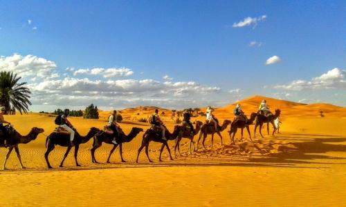 Shooting Stars Luxury Desert Camp