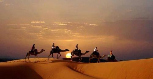 Shooting Stars Luxury Desert Camp