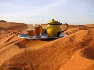 Shooting Stars Luxury Desert Camp