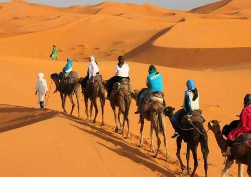 Berber Camp Tours