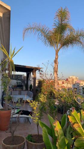 Apartamento Au Bord Du Palmier