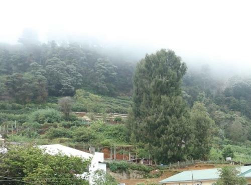 Apartamento Bliss Glenfall Residencies