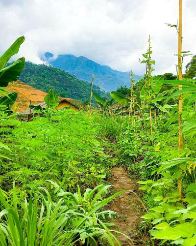 Agroturismo Sapa Natural Forest