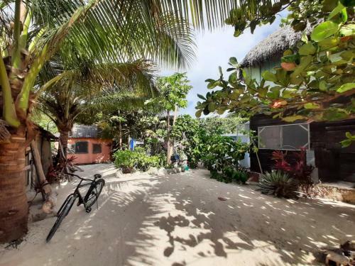 Nirvana Cabins And Camping Mahahual