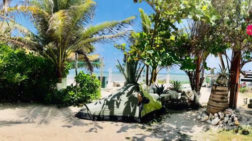 Nirvana Cabins And Camping Mahahual