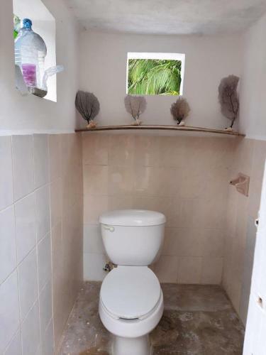 Nirvana Cabins And Camping Mahahual