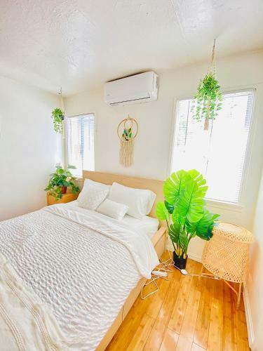 Apartamento Lincies House