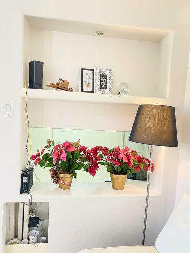 Apartamento Lincies House