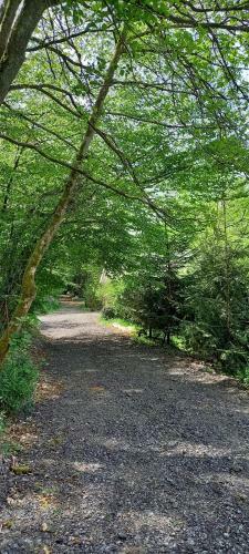 La Cabane De L�on