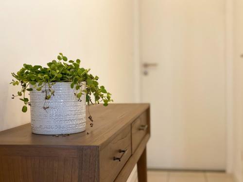 Apartamento Aliz�e-appartement Chaleureux En Plein Centre