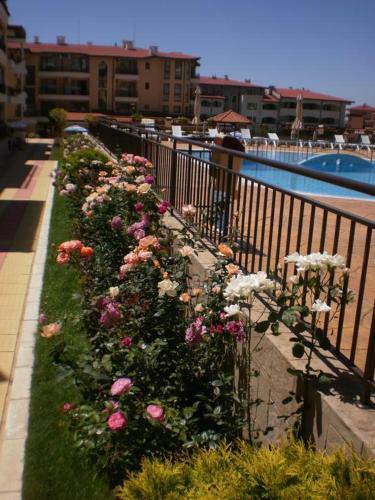 Aqua Dreams Apartments