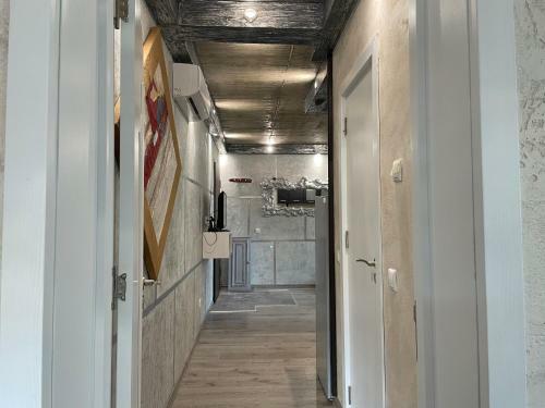 Sten-mary Apartament Vitosha
