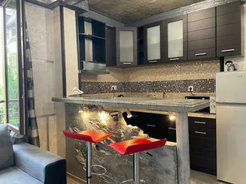 Sten-mary Apartament Vitosha