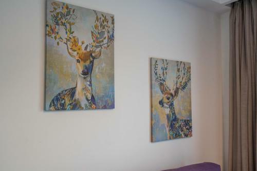 Living Luxury Apartment Ioa-d2