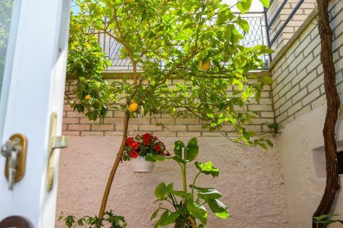 Hostal Apartments Delfin