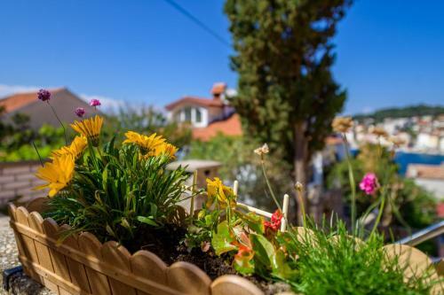 Hostal Apartments Delfin