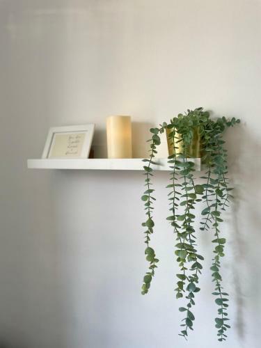 *new* One Bedroom Apartment Salt