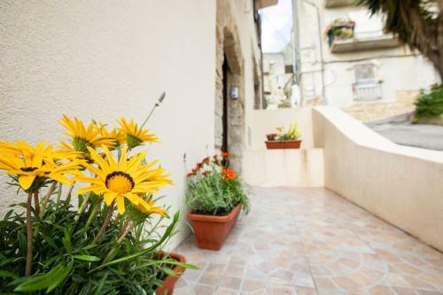 Apartamento La Domus Di Segesta "smart Solution"