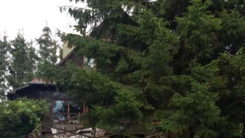 Chata W Lesie - Wooden House In The Forest