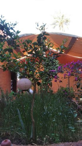 Apartamento Desert Life