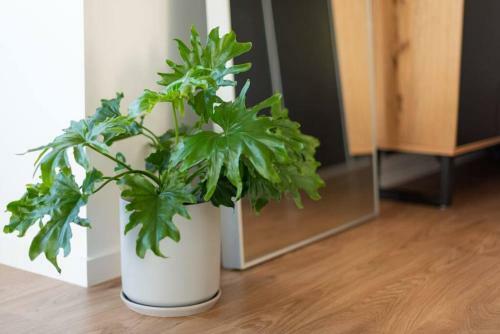 Apartamento Impressively Spacious, Modern And Convenient