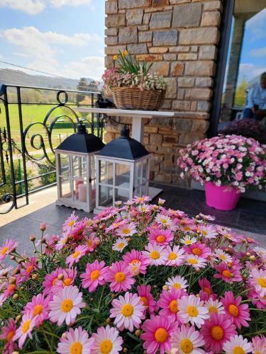 Bed & Breakfast Cha Cha De Loup