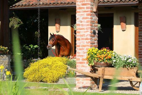 Agroturismo Le Soleil