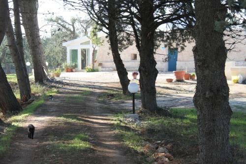 Apartamento Trullo Tarantini Con Piscina Privata