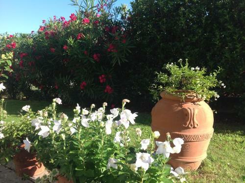 Bed & Breakfast Al Chiar�