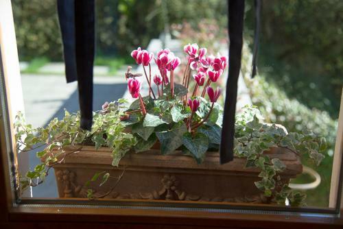 Bed & Breakfast Al Chiar�